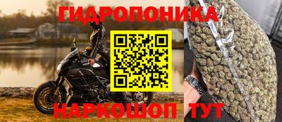 гашик Бугуруслан