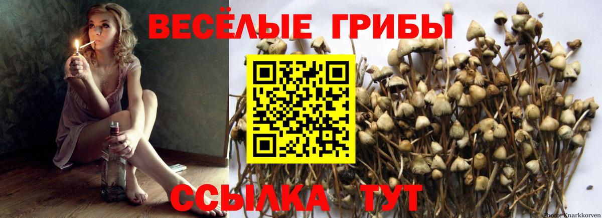 Галлюциногенные грибы мицелий  Вход с VPN  Тихвин  Галлюциногенные грибы ЛСД 